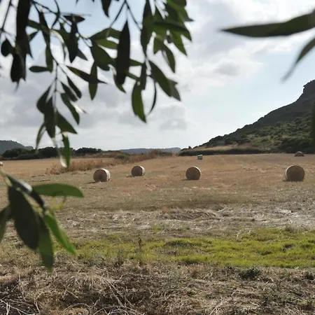 La Roccia Nocleg ze śniadaniem Castelsardo